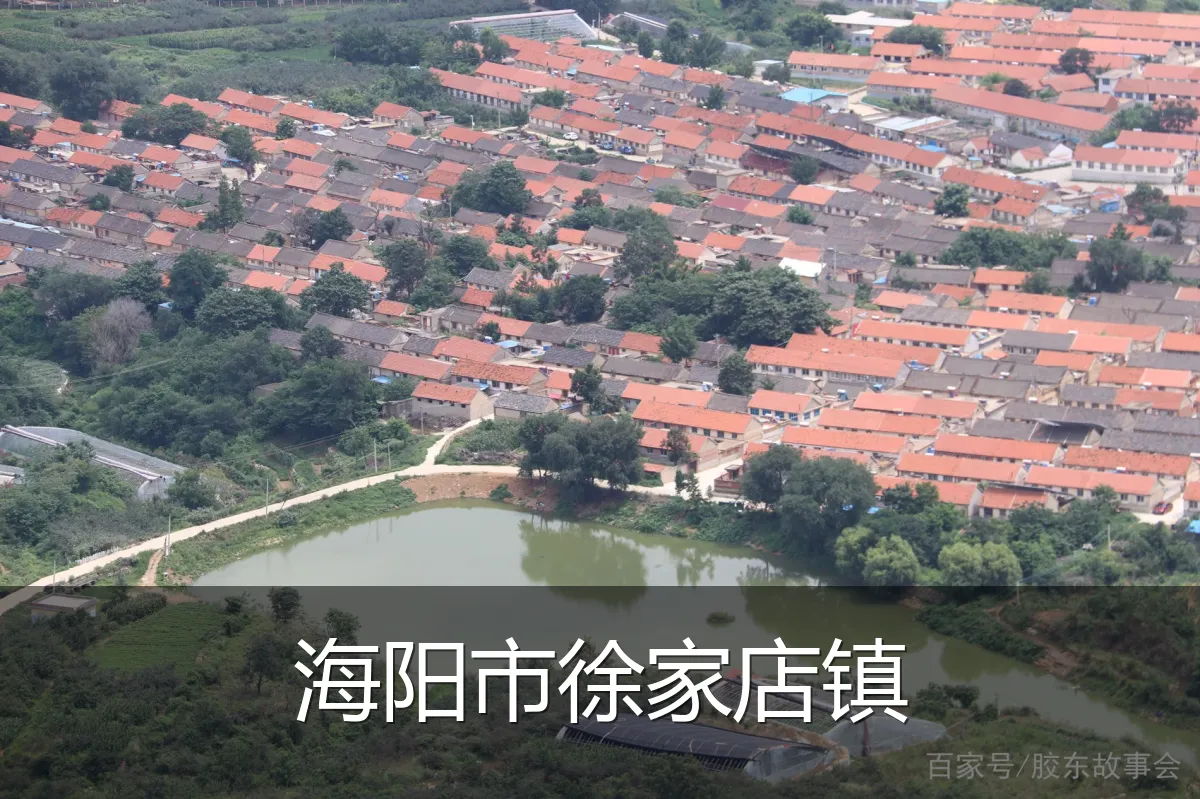 海阳市徐家店镇